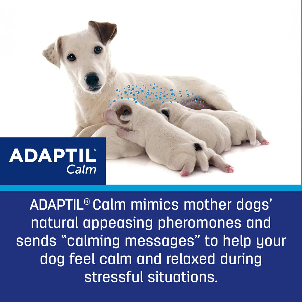Adaptil Collars Adult Dogs