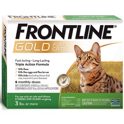 Frontline Gold Feline